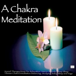 A Chakra Meditation