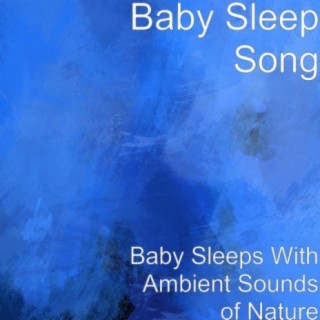 Baby Sleep Song