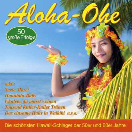 Immer wieder denk ich an Hawaii zurück | Boomplay Music