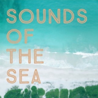 Sounds Of The Sea