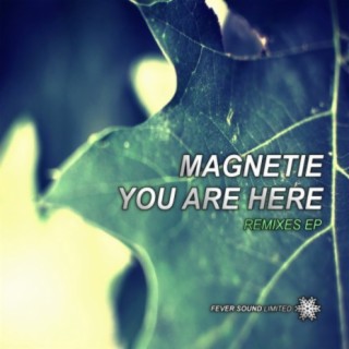 Magnetie