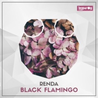Black Flamingo EP