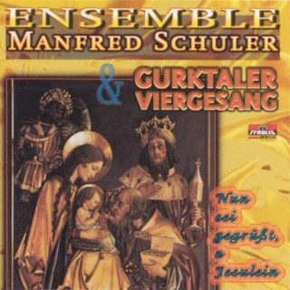 Ensemble Manfred Schuler