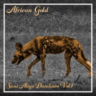 African Gold - Sani Aliyu Dandawo