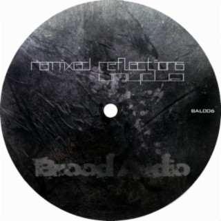 Brood Remixes03: Remixed Reflections