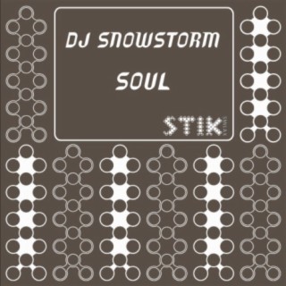 Dj Snowstorm