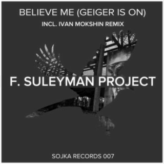 F. Suleyman Project