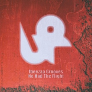 Ibeezaa Grooves