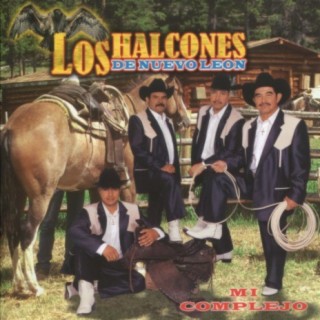 Los Halcones de Nuevo Leon