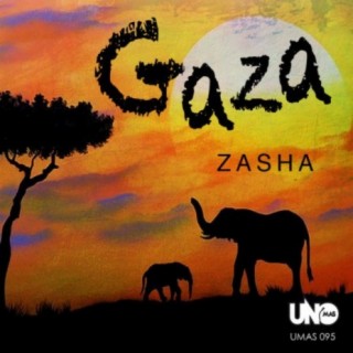 Zasha