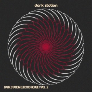 Dark Station Electro House, Vol.2