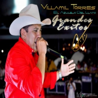 Villamil Torres