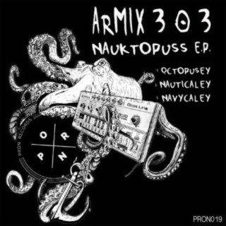 Armix 303