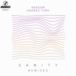 Sanity: Remixes