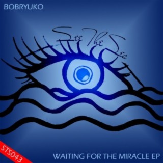 Waiting For The Miracle EP