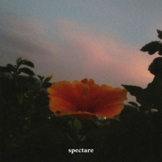 Spectare