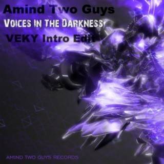 Voices In The Darkness (VEKY Intro Edit)