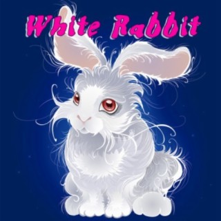 White Rabbit