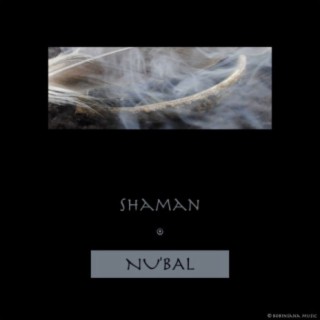 Shaman (Original Mix)