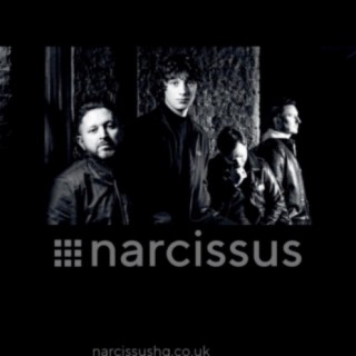 Narcissus