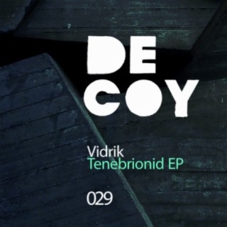 Tenebrionid EP