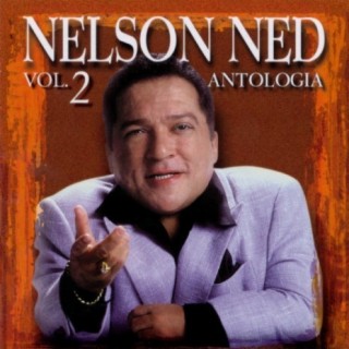 Nelson Ned