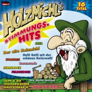 Holzmichl's Stimmungs-Hits