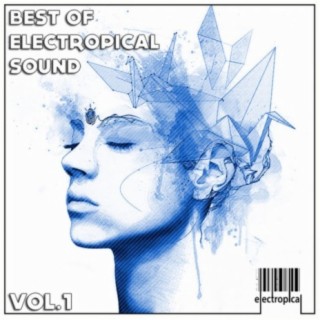 Best Of Electropical Sound