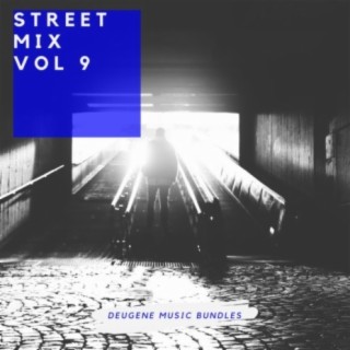 Street Mix, Vol. 9