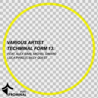 Techminal Form 13