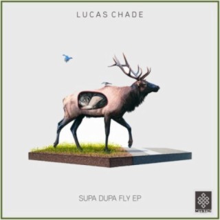 Supa Dupa Fly EP