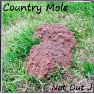 Country Mole