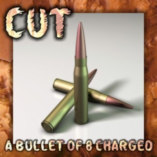 A Bullet of 8 Charged