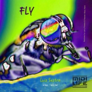 Fly