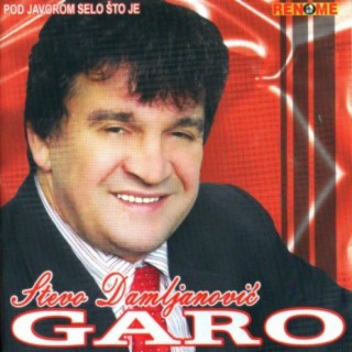 Stevo Damljanovic Garo