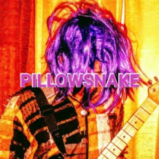 Pillowsnake