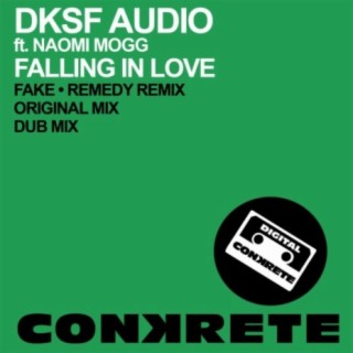 DKSF Audio