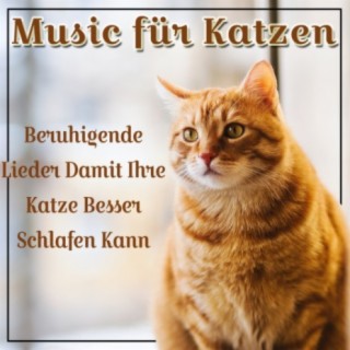 Music for Cats Peace