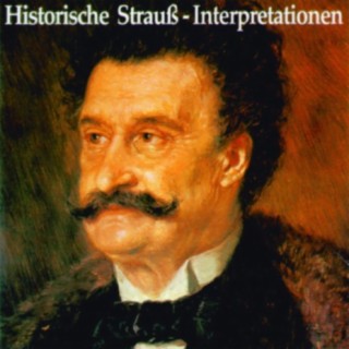 Historische Strauss-Interpretation