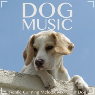 Music For Dogs Peace