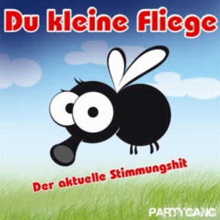 Du kleine Fliege