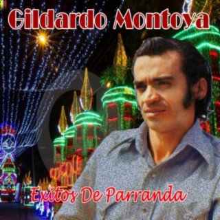 Exitos de Parranda