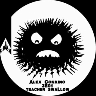 Teacher Swallow