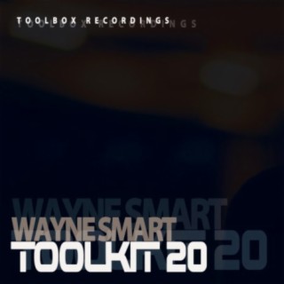 Toolkit Vol 20 (Mixed by Wayne Smart)