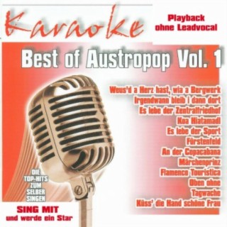 Best of Austropop Vol.1 - Karaoke