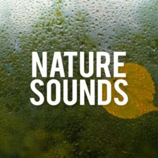 Nature Sounds