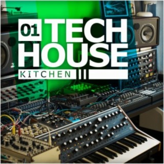 Tech House Kitchen 01