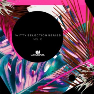 Witty Selection Series, Vol. 16
