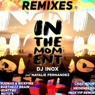 In The Moment (Remixes)