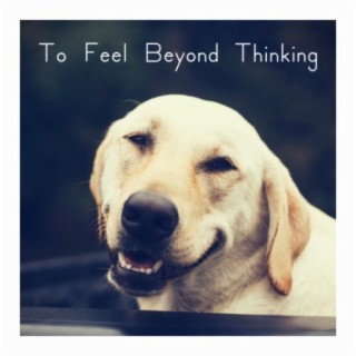 To Feel Beyond Thinking